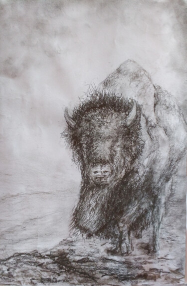 Drawing titled "Wildlife - The Big…" by Fernando Josei Kanashiro Pereira, Original Artwork, Charcoal