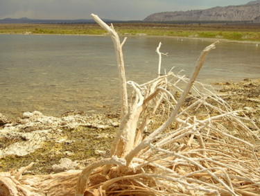 Photographie intitulée "Bord de lac 3" par Laure Ferrando, Œuvre d'art originale, Photographie numérique