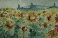 Pittura intitolato "toscana e girasoli" da Ferruccio, Opera d'arte originale