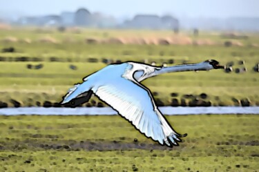 摄影 标题为“A Majestic Swan in…” 由Fetux_lines, 原创艺术品, 丙烯