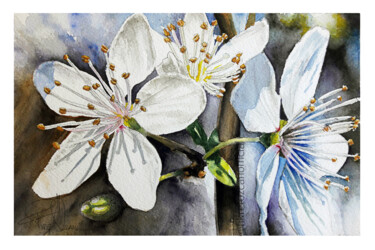 Ζωγραφική με τίτλο "Spring Branch" από Fikret Özcan, Αυθεντικά έργα τέχνης, Ακουαρέλα