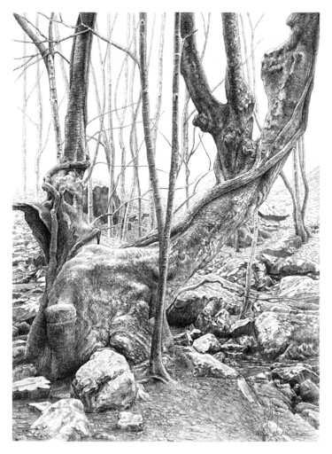 Dessin intitulée "JUNGLE" par Fikret Özcan, Œuvre d'art originale, Graphite