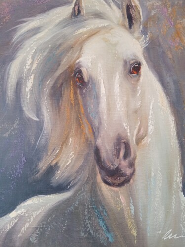 Schilderij getiteld "A white horse oil p…" door Filip Petrovic, Origineel Kunstwerk, Olie