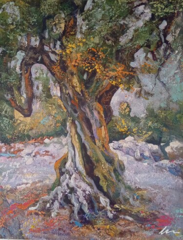 Painting titled "An old tree oil pai…" by Filip Petrovic, Original Artwork, Oil