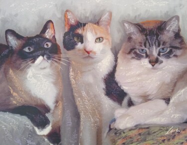 Malarstwo zatytułowany „Cats acrylic print…” autorstwa Filip Petrovic, Oryginalna praca, Akryl