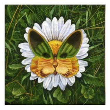 Картина под названием "Cat-butterfly" - Igor Lysenko, Подлинное произведение искусства, Масло