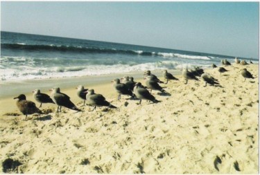 Photography titled "Birds In a Row" by The Desolate One, Original Artwork