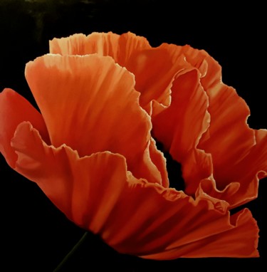 Pittura intitolato "A BEAUTIFUL POPPY" da Luigi Maria De Rubeis, Opera d'arte originale, Olio