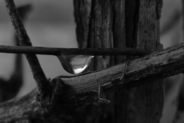 Fotografía titulada "GOUTTE" por François Luciani, Obra de arte original