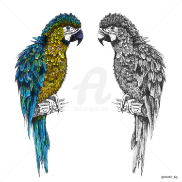 Disegno intitolato "Le perroquet a fait…" da Studio Figi, Opera d'arte originale, Penna gel