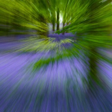 Photography titled "Into the wood" by Fisher, Original Artwork, Digital Photography