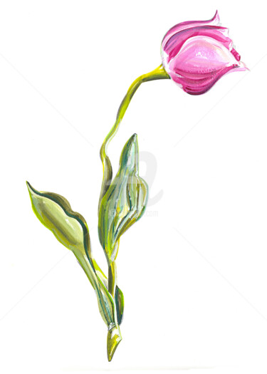 Картина под названием "Pink Lonely Tulip" - Flávio Miranda, Подлинное произведение искусства, Гуашь