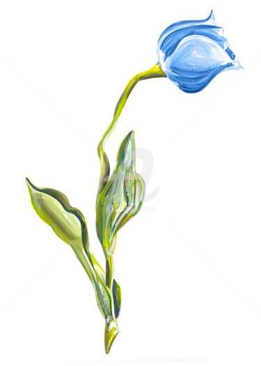 Painting titled "Blue Lonely Tulip" by Flávio Miranda, Original Artwork, Gouache
