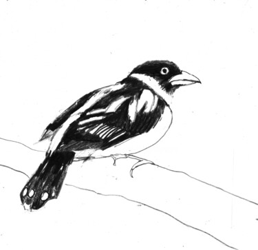 Zeichnungen mit dem Titel "Bird" von Fleur Elise Noble, Original-Kunstwerk