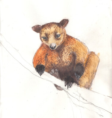 Disegno intitolato "Tree Kangaroo" da Fleur Elise Noble, Opera d'arte originale, Pastello