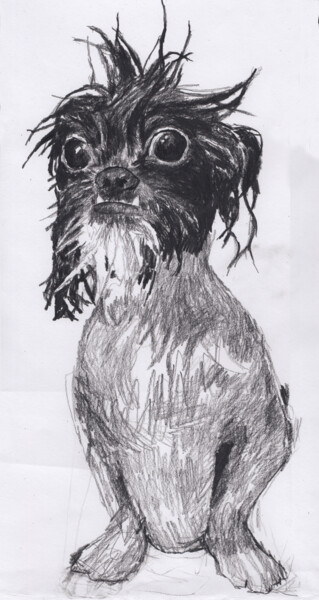Drawing titled "Funny Looking Dog" by Fleur Elise Noble, Original Artwork, Conté