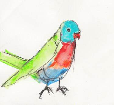Drawing titled "Bird of Colour" by Fleur Elise Noble, Original Artwork, Pastel