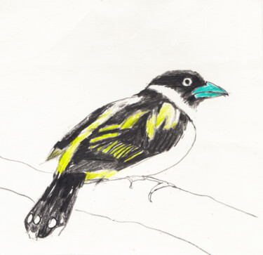 Drawing titled "Bird 3" by Fleur Elise Noble, Original Artwork, Pastel