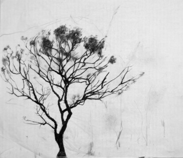 Drawing titled "Tree Drawing 2" by Fleur Elise Noble, Original Artwork, Pencil