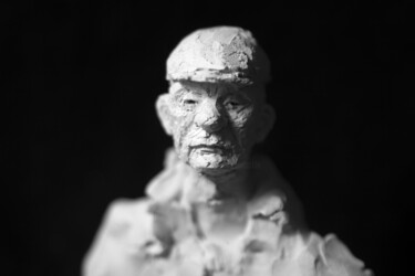 Rzeźba zatytułowany „Clay Face 84” autorstwa Fleur Elise Noble, Oryginalna praca, Terakota
