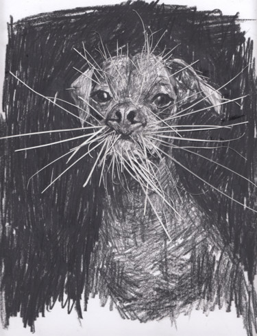 Drawing titled "Dog" by Fleur Elise Noble, Original Artwork, Pencil