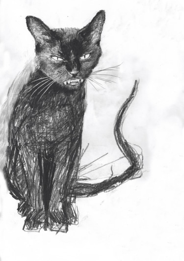 Drawing titled "Black Cat" by Fleur Elise Noble, Original Artwork, Pencil