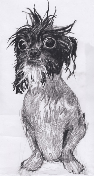 Рисунок под названием "Funny Looking Dog" - Fleur Elise Noble, Подлинное произведение искусства, Цветные карандаши