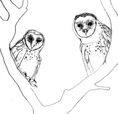 Dessin intitulée "Owls" par Fleur Elise Noble, Œuvre d'art originale, Stylo à bille