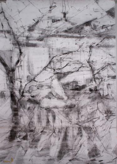 图画 标题为“Woman and Trees” 由Fleur Elise Noble, 原创艺术品, 木炭