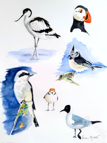 Картина под названием "Oiseaux de mer" - Florence Mignot, Подлинное произведение искусства, Акварель