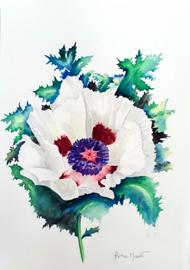 Malerei mit dem Titel "Fleur pavot blanc" von Florence Mignot, Original-Kunstwerk, Aquarell