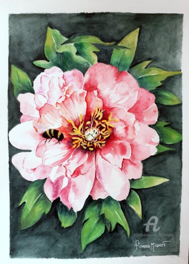 Painting titled "La pivoine et l'abe…" by Florence Mignot, Original Artwork, Watercolor