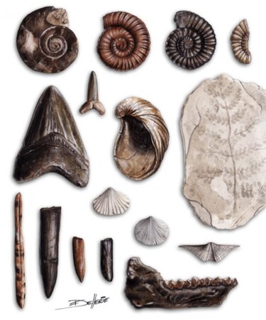 Pintura intitulada "Fossiles" por Florence Dellerie, Obras de arte originais