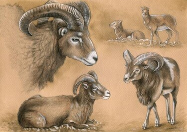 Painting titled "Mouflon corse" by Florence Dellerie, Original Artwork