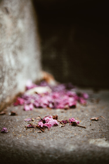 Photographie intitulée "Marche rose" par Florence Godard, Œuvre d'art originale, Photographie numérique