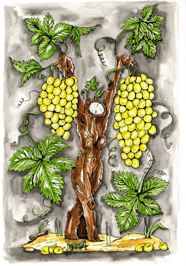 Drawing titled "Les deux grappes" by Florence H, Original Artwork, Watercolor Mounted on Cardboard