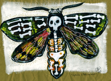 Drawing titled "Papillon Sphinx à t…" by Florence H, Original Artwork, Acrylic Mounted on Cardboard