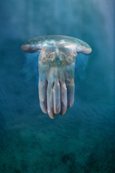 Arte digital titulada "Grosse méduse" por Florence Ormezzano, Obra de arte original, Collages digitales