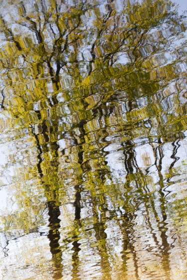 Photographie intitulée "Trouble water" par Florence Sanz, Œuvre d'art originale, Photographie numérique