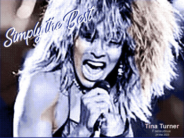 Digital Arts με τίτλο "TINA TURNER - HOMMA…" από Florence Selaudoux, Αυθεντικά έργα τέχνης, Ψηφιακή ζωγραφική