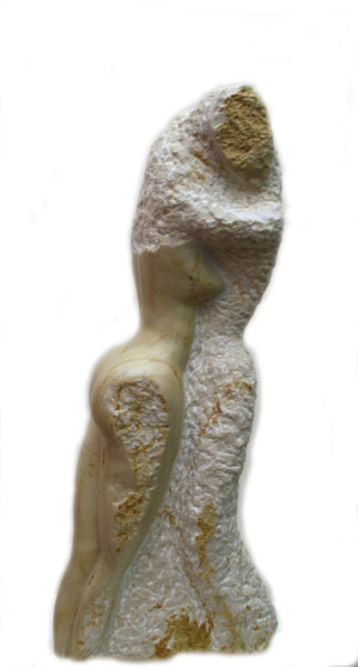 Escultura intitulada "COULEUR DE SINE 1" por Florence   Duet, Obras de arte originais, Pedra