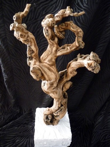 Rzeźba zatytułowany „cep de vigne      L…” autorstwa Florence Diot, Oryginalna praca, Drewno