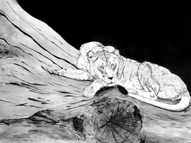 Dessin intitulée "Lion" par Florence Lg, Œuvre d'art originale, Encre