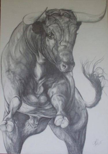 Drawing titled "Miura taureau de co…" by Florence Marceau-Godart, Original Artwork, Pencil