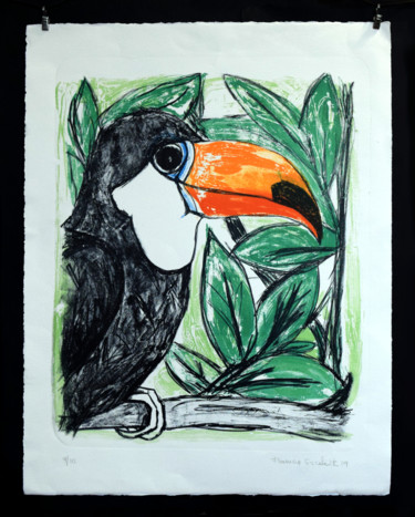 Gravures & estampes intitulée "Le tucan" par Florencia Escalante, Œuvre d'art originale, Lithographie