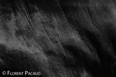 Fotografia zatytułowany „Cuir Center 11” autorstwa Florent Pacaud, Oryginalna praca, Fotografia nie manipulowana