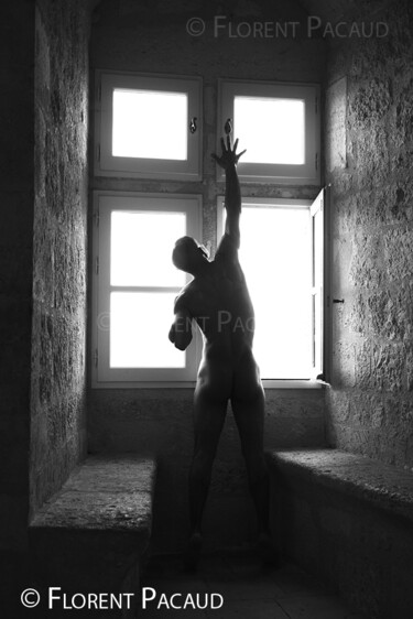 Фотография под названием "Homo Sum n°6" - Florent Pacaud, Подлинное произведение искусства, Цифровая фотография