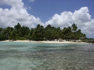 Photographie intitulée "guadeloupe" par Florent Dorer, Œuvre d'art originale