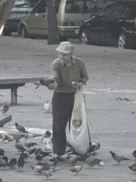 Photographie intitulée "L'homme aux pigeons…" par Florent Dorer, Œuvre d'art originale