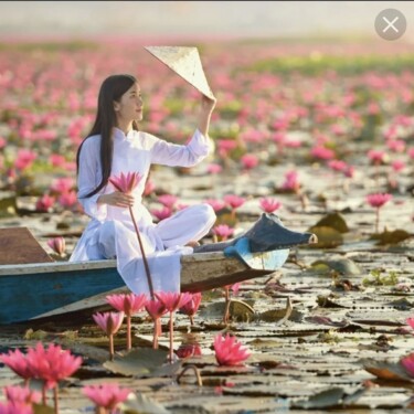 Digital Arts titled "38🌺 Lotus pond" by Flower Planet, Original Artwork, Manipulated Photography